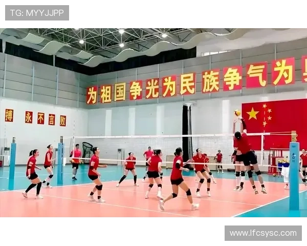 上海排球队实力不容小觑排球力量排行榜中荣获第八名